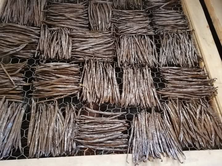 Gousses de vanille entières vanillemorgan