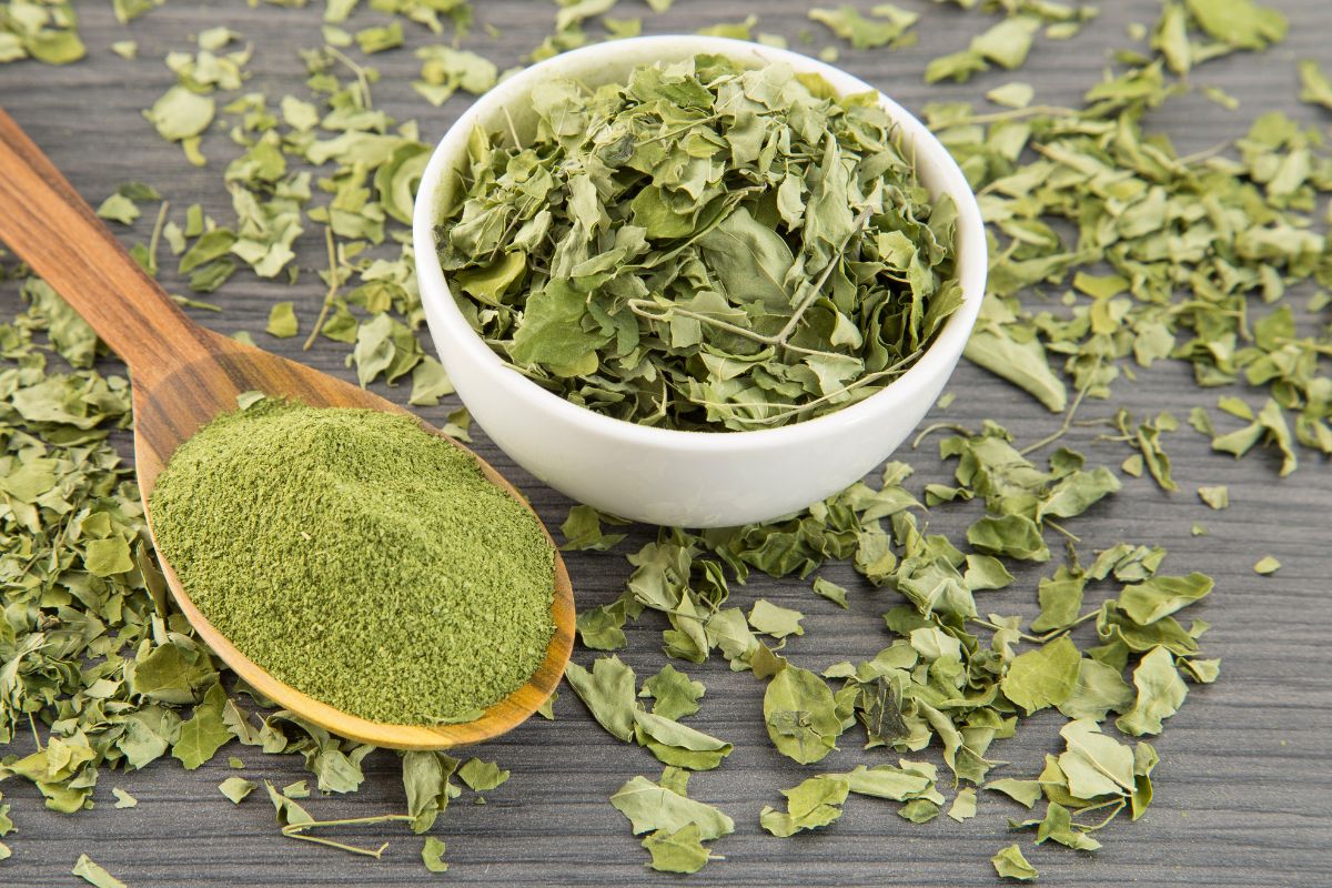 Moringa Moulu de Madagascar – Superaliment Pur & Puissant | vanillemorgan