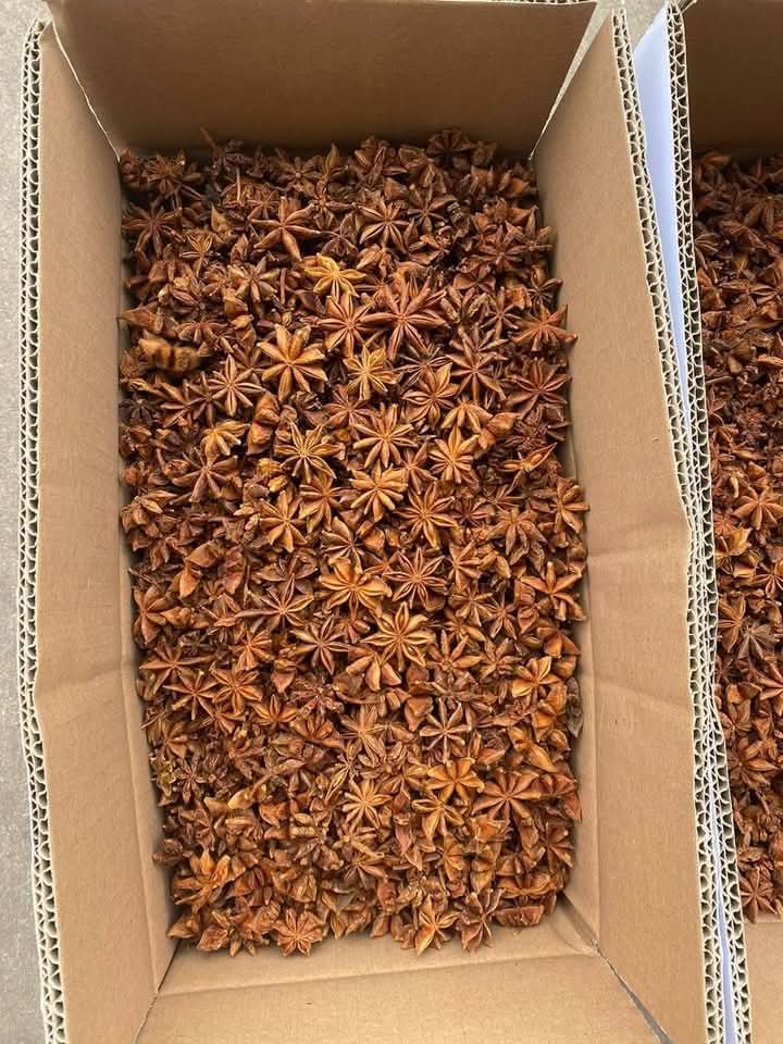 Badiane entier de Madagascar – Étoile Aromatique Authentique & Digestive | vanillemorgan