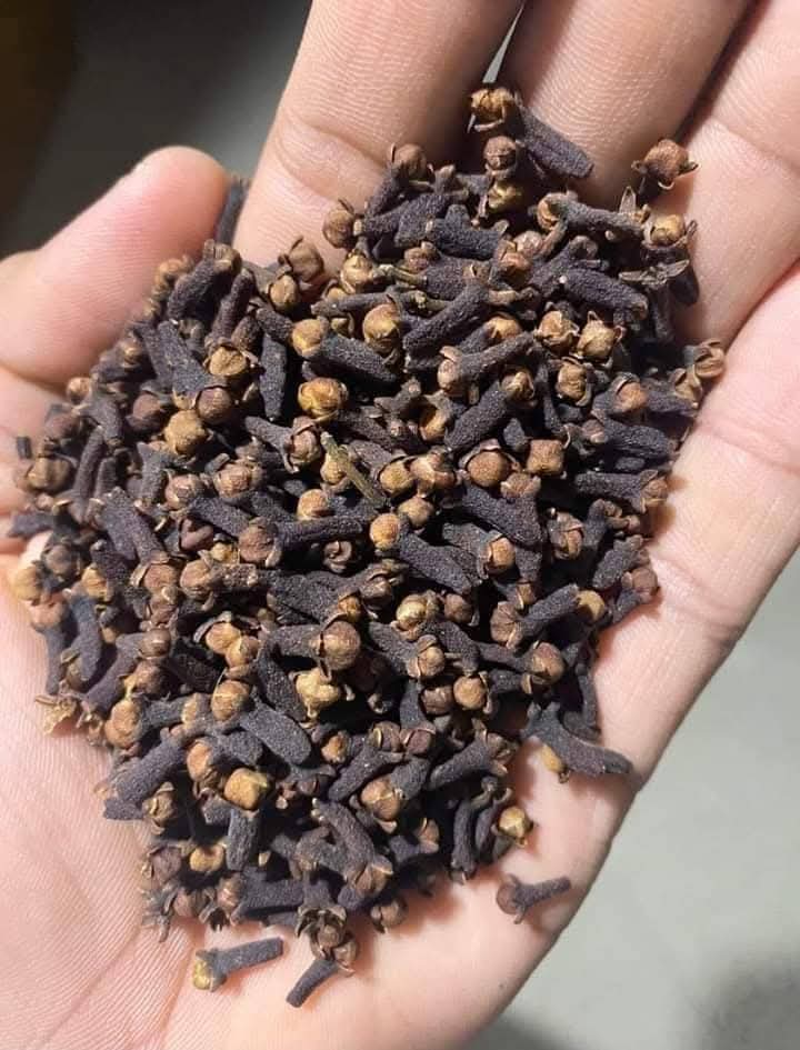 Clou de Girofle Entier de Madagascar – Aromatique & Puissant | vanillemorgan