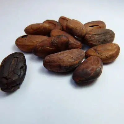 Fève de Cacao Non Torréfiée (crue) de Madagascar – Force Pure, Saveur Originelle & Bienfaits Naturels | vanillemorgan