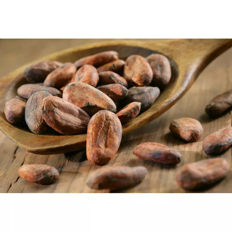 Fève de Cacao Non Torréfiée (crue) de Madagascar – Force Pure, Saveur Originelle & Bienfaits Naturels | vanillemorgan