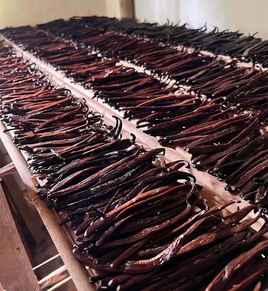 Gousses de vanille Bourbon premium de la Réunion – Arômes puissants et qualité supérieure