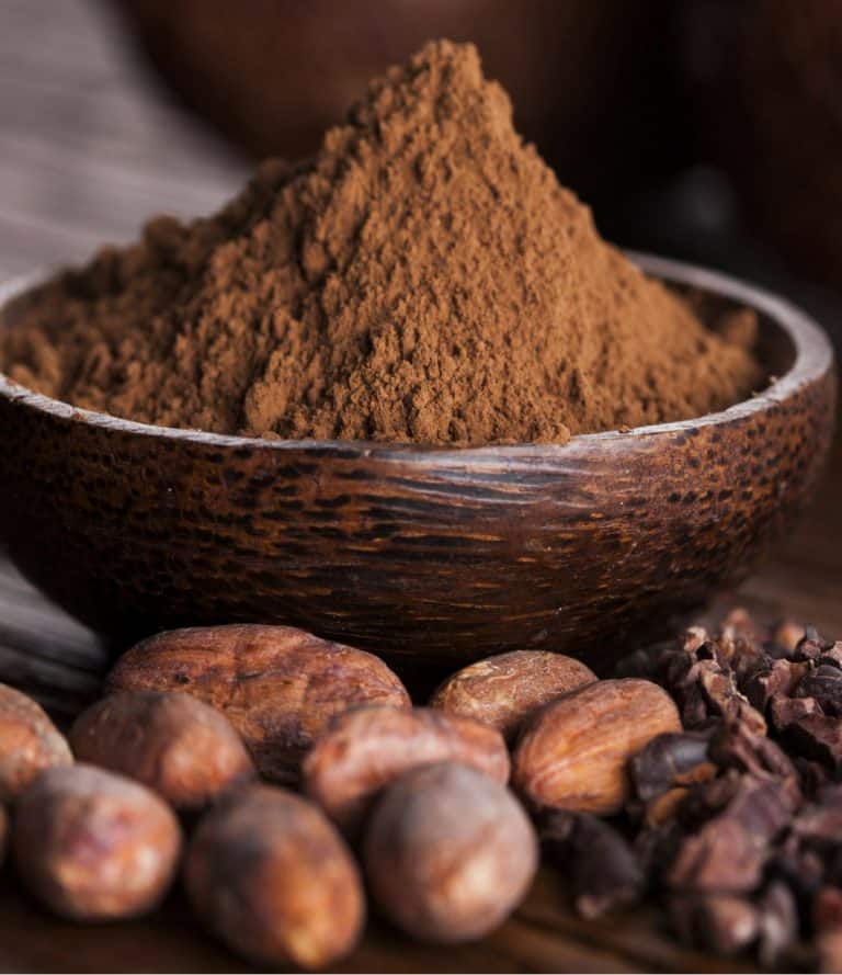 Poudre de Cacao de Madagascar – Chocolat Authentique & Intense | vanillemorgan