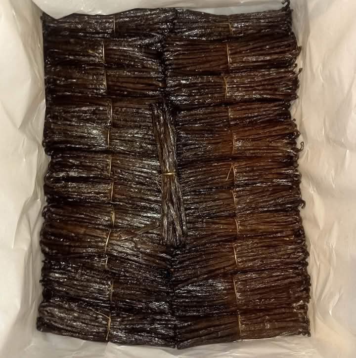Vanille Bourbon de Madagascar – Qualité Gourmet 10/11 cm & 14/20 cm | vanillemorgan