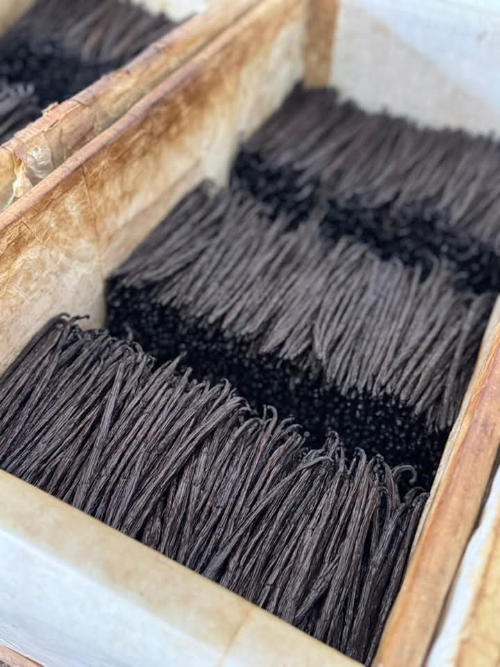 Vanille Bourbon de Madagascar – Qualité Gourmet 10/11 cm & 14/20 cm | vanillemorgan