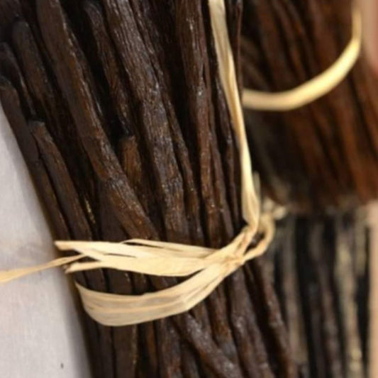 Vanille Bourbon de Mayotte