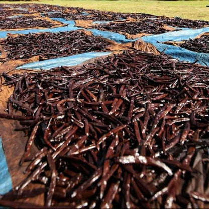Vanille naturelle pour pâtisserie