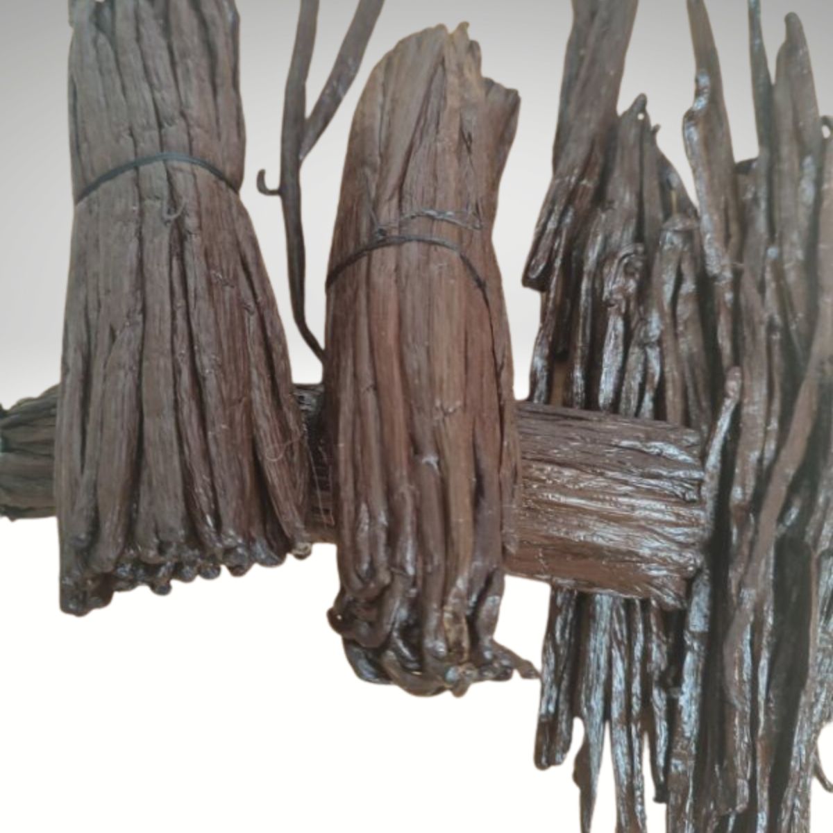 Acheter gousses de vanille Bourbon Madagascar en ligne.