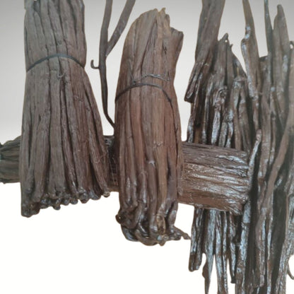 Acheter gousses de vanille Bourbon Madagascar en ligne.