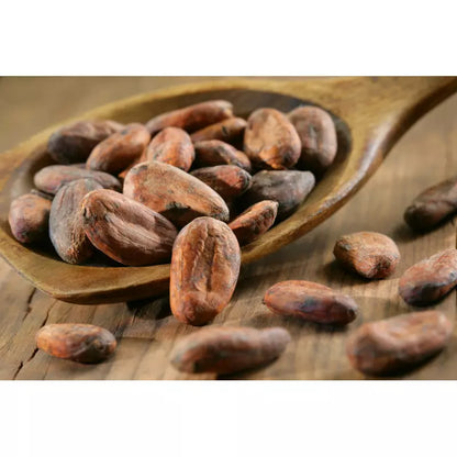 Fève de Cacao Non Torréfiée (crue) de Madagascar – Force Pure, Saveur Originelle & Bienfaits Naturels | vanillemorgan