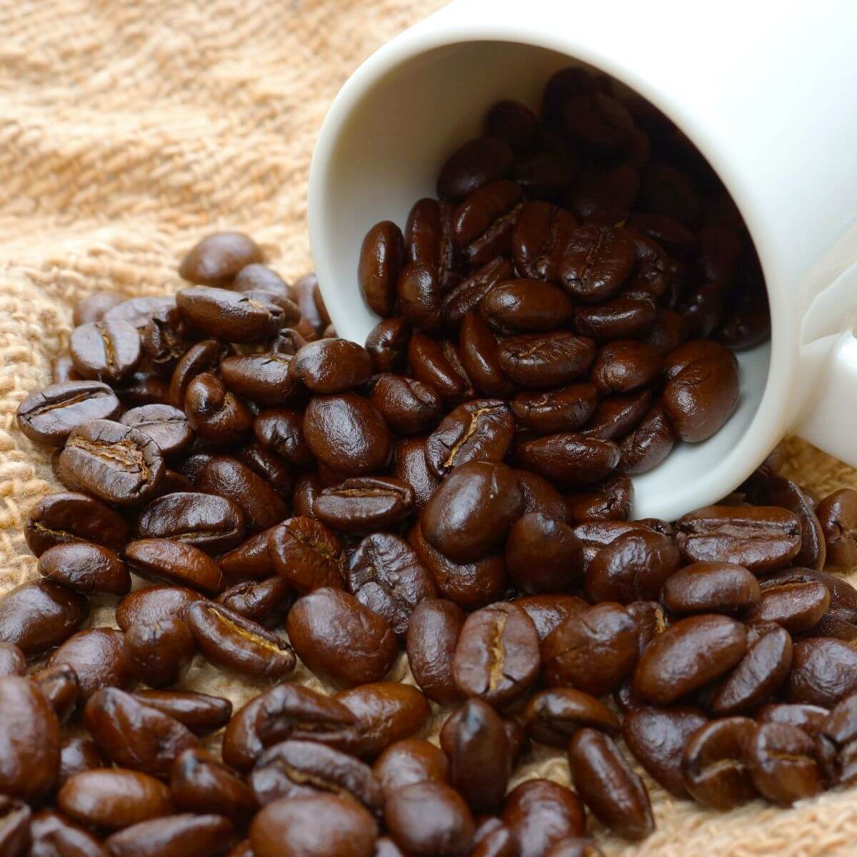 Grains de café Arabica torréfiés, origine Madagascar.