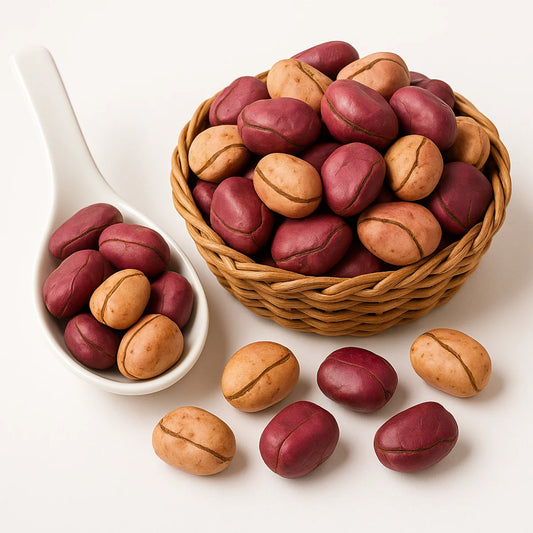 Noix de Cola entière – Madagascar | Vanille Morgan