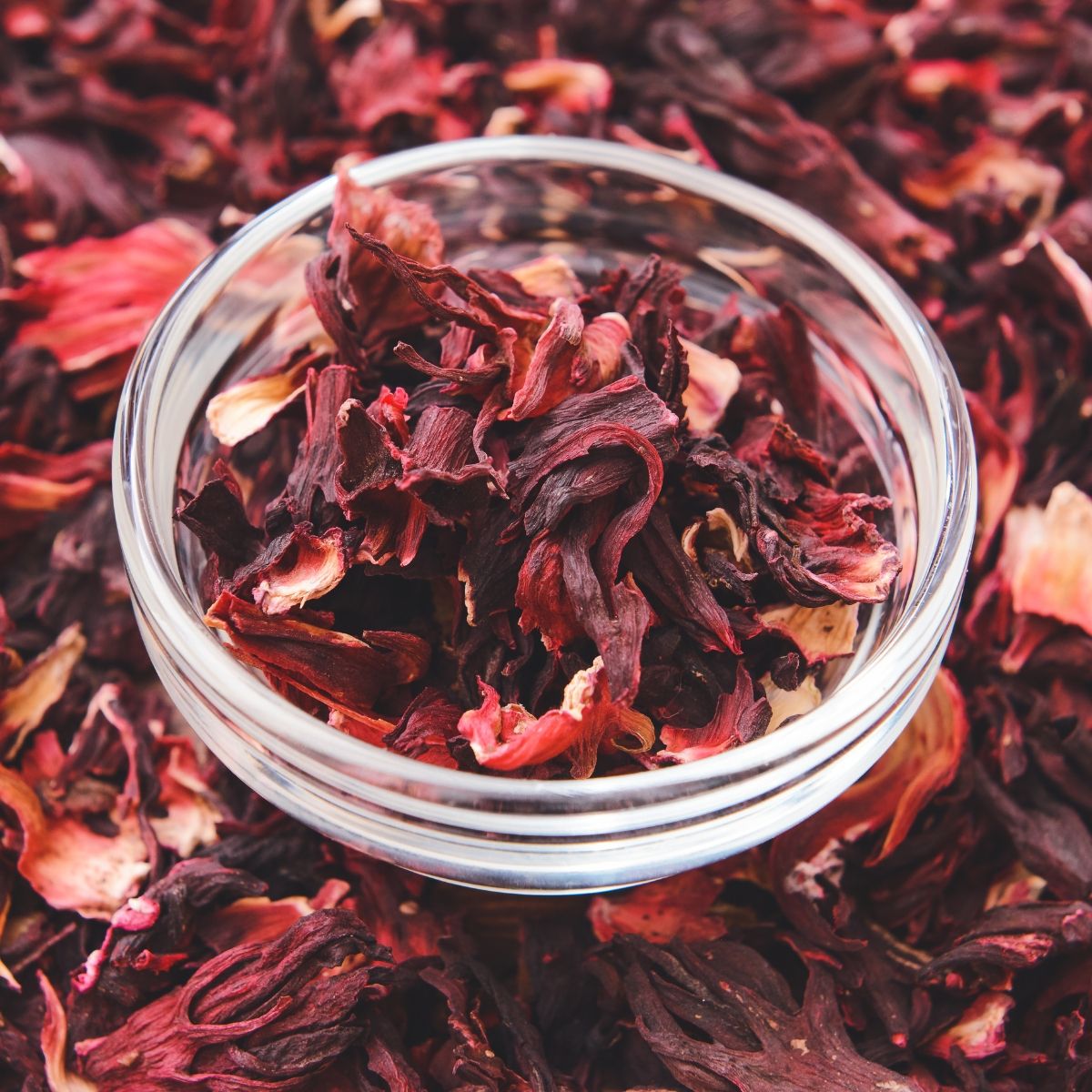 Sachet hermétique hibiscus Vanille Morgan, traçabilité premium.