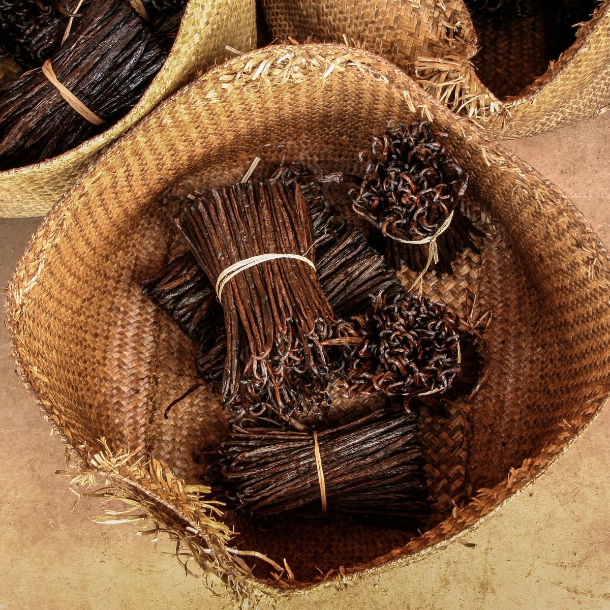 Vanille Bourbon Madagascar 14–20 cm premium gourmet.