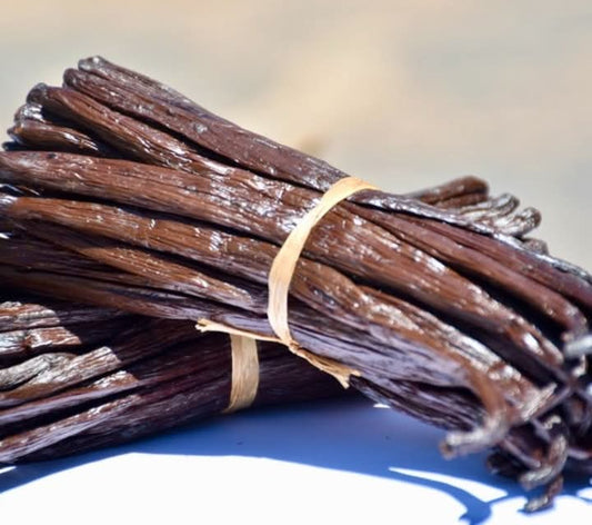 Vanille  Bourbon de Madagascar – Qualité Gourmet 10/11 cm & 14/20 cm | vanillemorgan